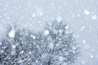 iarna revine in forta ninsori si ger pana joi anuntul de ultima ora al anm 6994155686c14