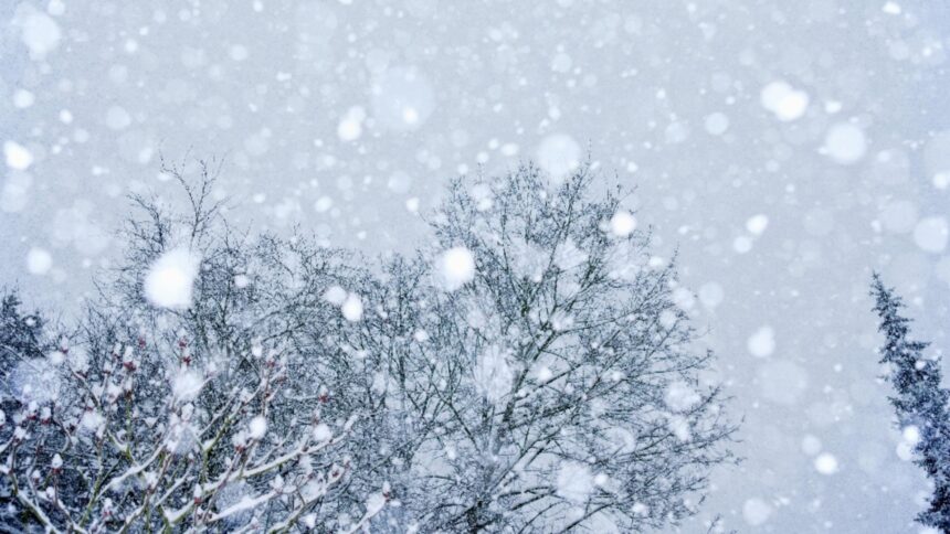 iarna revine in forta ninsori si ger pana joi anuntul de ultima ora al anm 6994155686c14