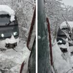 imagini socante de pe ruta bucuresti urziceni trenul circula cu 10 km h prins intre copaci si troiene uriase video 6995840807d1f