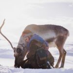 in arru a reindeer herder must choose between saving ancestral lands or her family exclusive berlin clip 6989b8e73e2d5