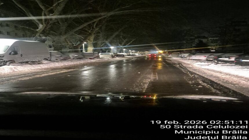 interventie exemplara braila gestionata eficient in fata naturii munca si decizii asumate 6996defcd152e