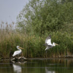 irineu darau anunta actualizarea masterplanului pentru investitiile in turism realitatea din teren s a schimbat 6994e5ed6ecfb