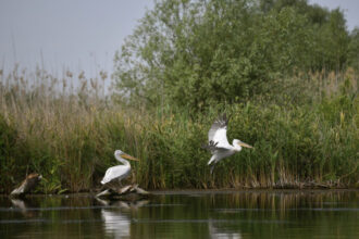 irineu darau anunta actualizarea masterplanului pentru investitiile in turism realitatea din teren s a schimbat 6994e5ed6ecfb