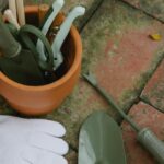 lucrari de gradinarit specifice lunii februarie cum sa ti pregatesti corect gradina pentru noul an agrar 6992ff9207a82