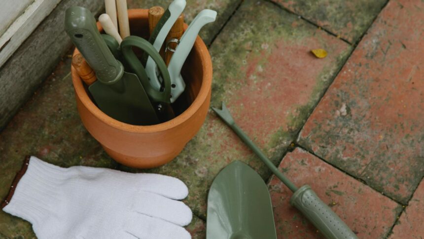 lucrari de gradinarit specifice lunii februarie cum sa ti pregatesti corect gradina pentru noul an agrar 6992ff9207a82