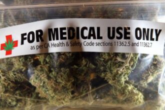 modificari legislative majore pentru regimul drogurilor si substantelor psihotrope pe agenda guvernului astazi 698d6c381d549