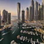 printul de dubai din spatele tastaturii a lasat o romanca fara 2 milioane de dolari dar cu o plangere la diicot video 698222dde2762