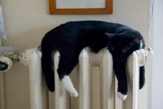 romanii se incalzesc mai bine decat francezii si spaniolii eurostat 6980906d4d16f