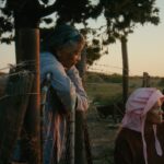 rotterdam film festival variations on a theme and master win top awards 69862ca55dd7c