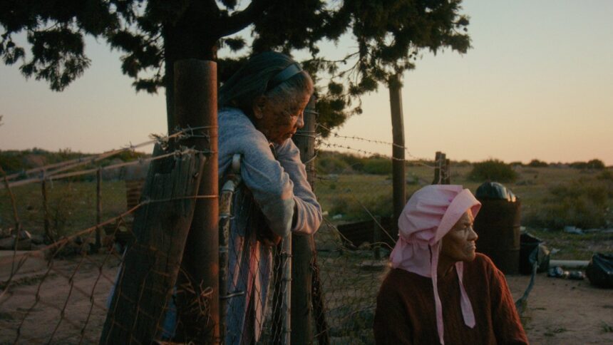 rotterdam film festival variations on a theme and master win top awards 69862ca55dd7c