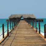 tepe cu vacante exotice in valoare de 40 000 e la o agentie din ilfov m au inconjurat cei de la securitate pentru ca nu au platit 699a92ffc9ad3