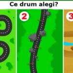 test psihologic alege un drum si afla ce spune despre tine 69831049ce4d2