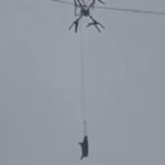 un fermier a lasat un sat fara curent 10 ore dupa ce a incercat sa transporte porci cu o drona video 698852f789949