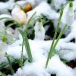 un nou soc termic vine peste romania intervalul de vreme calda se intrerupe brusc iar gerul loveste din nou tara in urmatoarele zile 698dfc5d23918