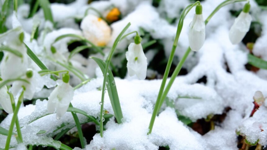 un nou soc termic vine peste romania intervalul de vreme calda se intrerupe brusc iar gerul loveste din nou tara in urmatoarele zile 698dfc5d23918