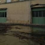 un sofer de camion a murit in franta din cauza furtunii niles 850 000 de locuinte au ramas fara curent 698da964d50ce