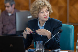 vicepremierul oana gheorghiu companiile de stat pot fi restructurate dar nu prin gesturi bruste sau decizii luate pe genunchi 697f52fcdd834