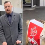 video un deputat aur a iesit la protest cu o capra imbracata in sigla psd e un simbol reactia internautilor sunteti penibil 698dfc6d7636e