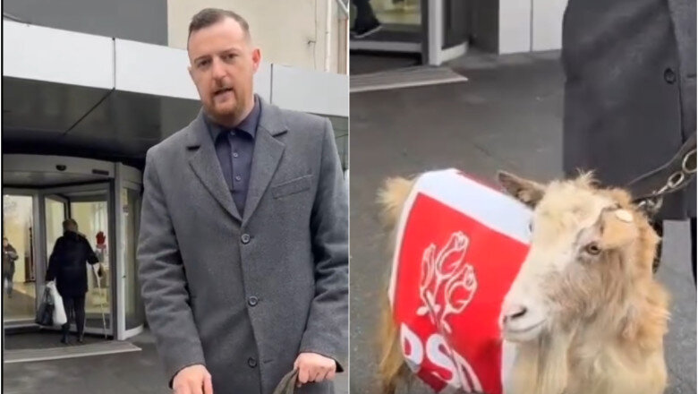 video un deputat aur a iesit la protest cu o capra imbracata in sigla psd e un simbol reactia internautilor sunteti penibil 698dfc6d7636e