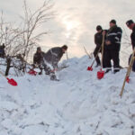 viscolul a facut ravagii in buzau zeci de solarii distruse pagube de pana la 100 000 de euro drumurile nu sunt accesibile 699c5047da9f0