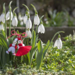 1 martie 2026 semnificatia primei zile de primavara care sunt cele mai cunoscute si indragite traditii romanesti 69a3d89a6cac4