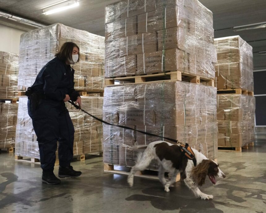 belgium at risk of becoming narco state judge warns 69aeae1916c1b