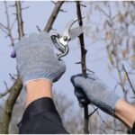 ce amenzi risti daca arunci crengile taiate la gunoi ce impune legea privind deseurile vegetale 69a82338e4978