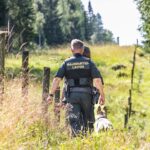 countries can rewild borders to deter invasions says eu environment chief 69aecdc8adf72