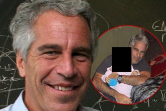 jeffrey epstein told victim he fathered child with woman he called perfect 69b2175b55cc5