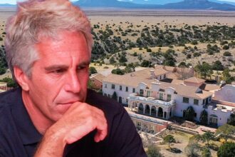 new mexico authorities searching for buried bodies at epsteins zorro ranch 69b0611923a0c