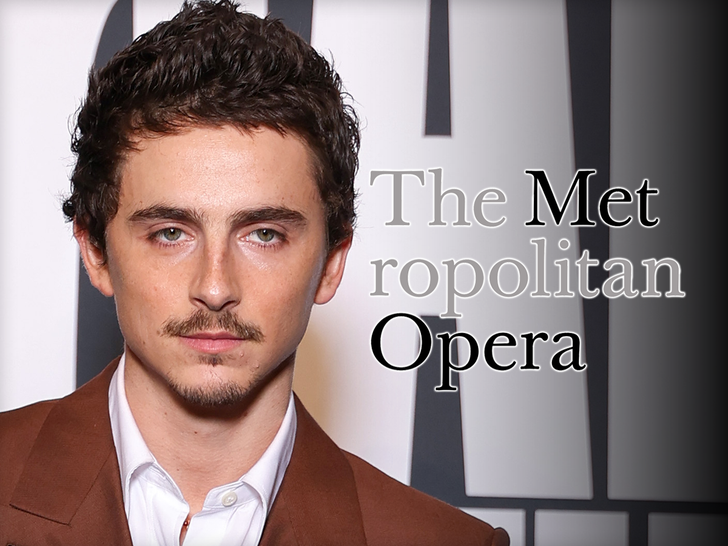 timothee chalamet shaded by met opera for his ugly comments watch the video 69ac45d173024