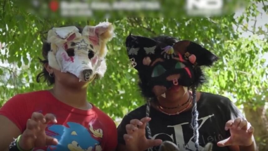 tineri deghizati in animale merg in patru labe pe strazi ei se identifica cu pisici caini si vulpi 69a40488df93e